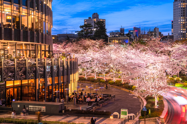 Roppongi Midtown