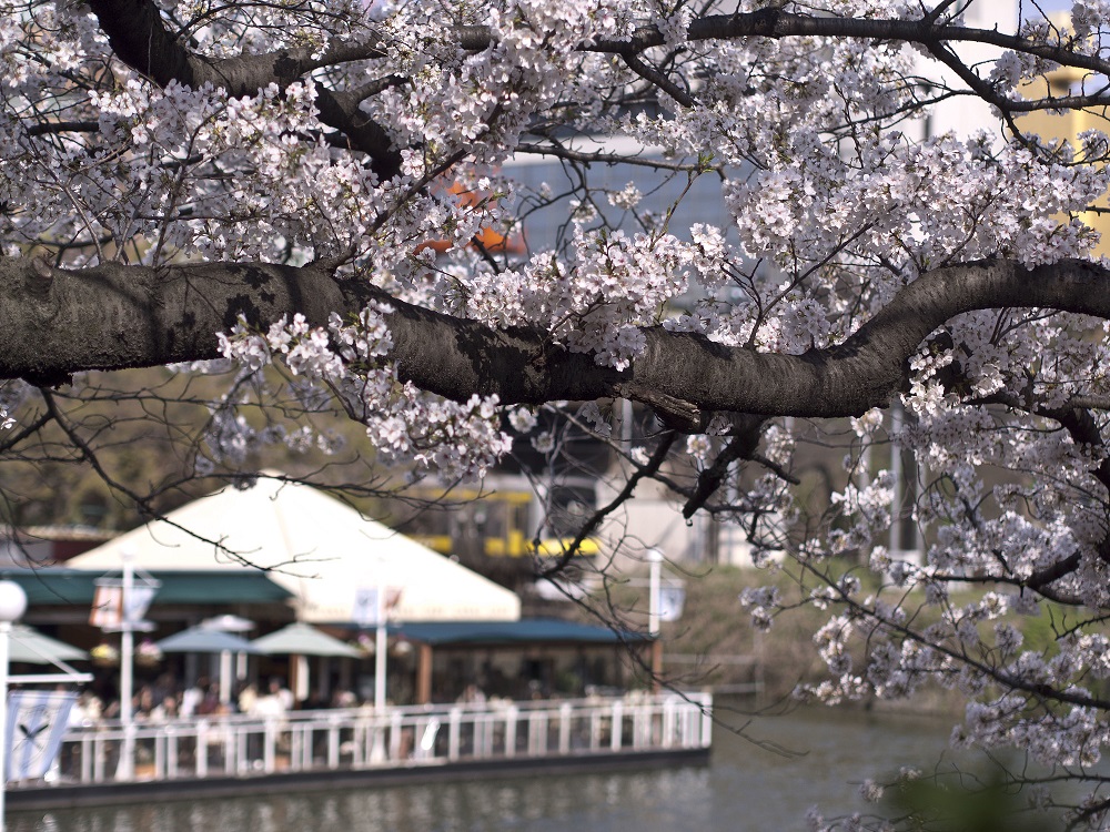 Kagurazaka