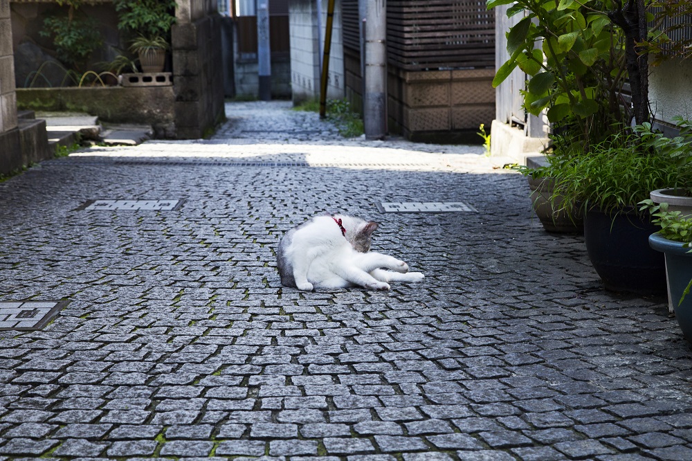 Kagurazaka