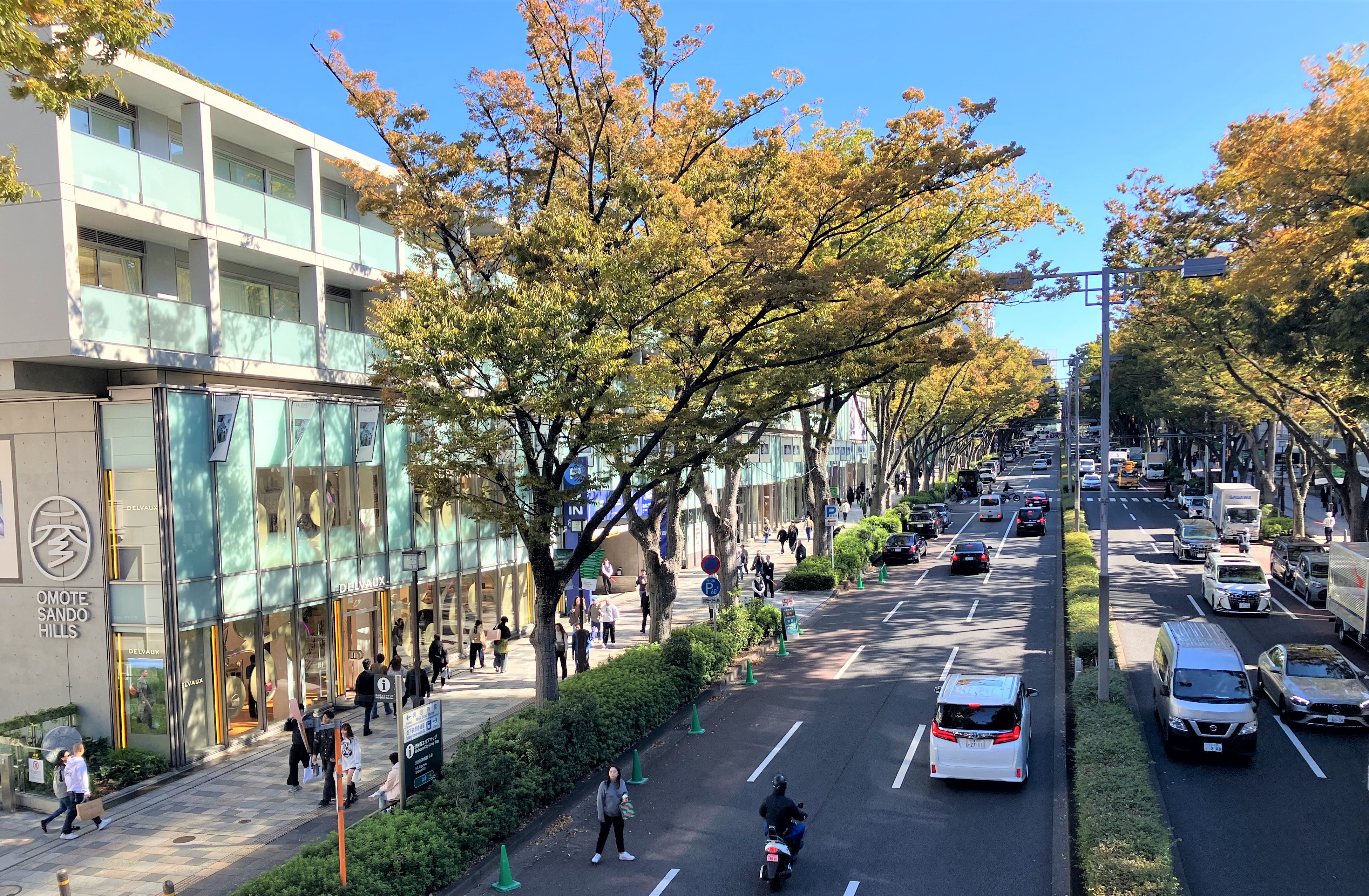 マーケットトレンド