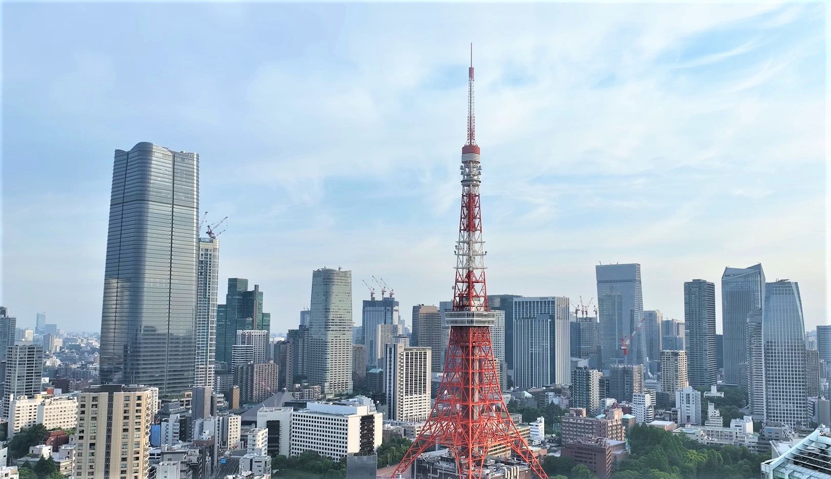 令和8年公示地価の概要